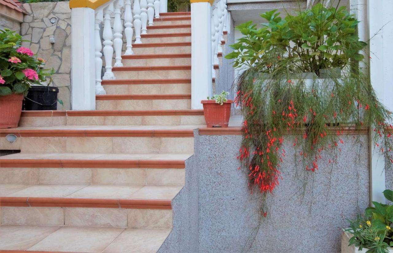 Villa Krivokapic Budva Ngoại thất bức ảnh